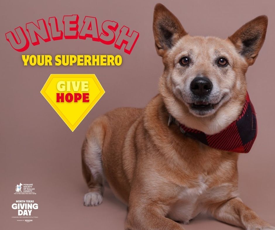 Unleash your superhero! Give today