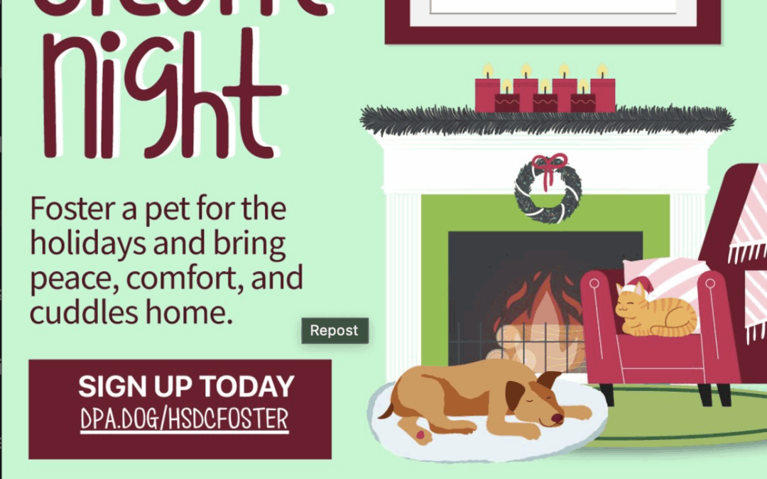 Animal Welfare Organizations Unite to Help Shelter Pets Find Loving